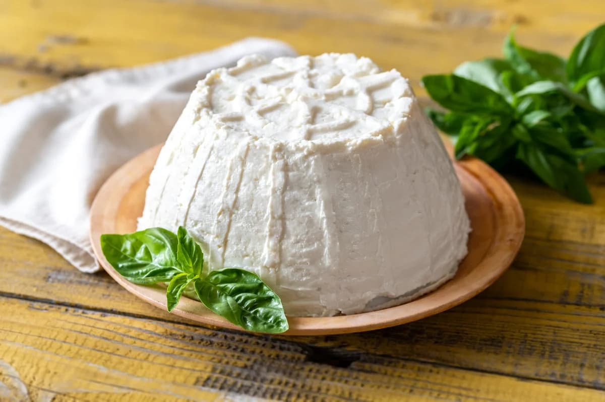 Una ricotta di bufala nella sua forma, su un piattino con foglie di basilico