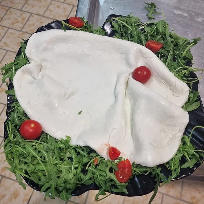 Una sfoglia di mozzarella stesa su un letto di rucola con pomodorini